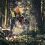 Motosierra Husqvarna 560 XPAUT - Imagen 2
